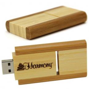 Wooden Pendrive W04